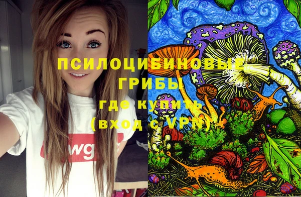 ГАЛЛЮЦИНОГЕННЫЕ ГРИБЫ Алексин