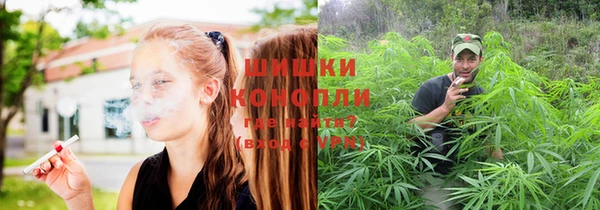 дурь Алексеевка