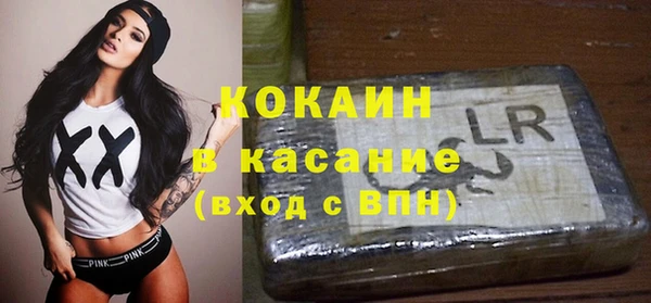 ГАЛЛЮЦИНОГЕННЫЕ ГРИБЫ Алексин