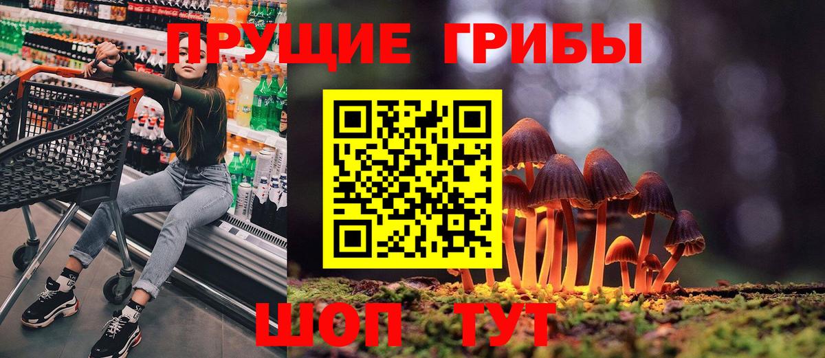 Галлюциногенные грибы Cubensis Кызыл